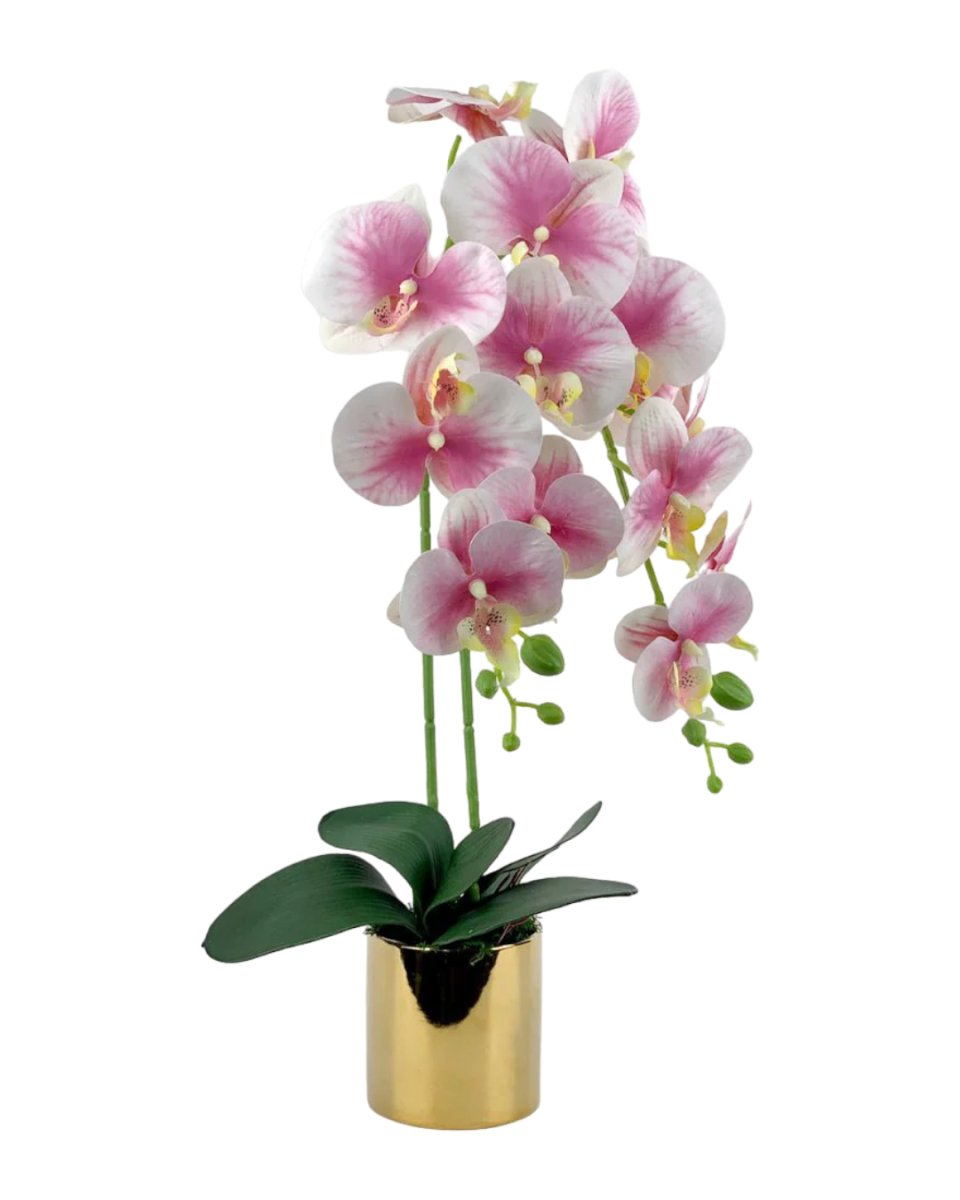 Artificial Crown Phalaenopsis - white - Gifting plant - Tumbleweed Plants - Online Plant Delivery Singapore