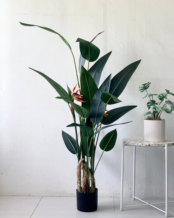 Artificial Heliconia Plant - Gifting plant - Tumbleweed Plants - Online Plant Delivery Singapore