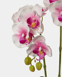 Artificial Silk Phalaenopsis in Gold Pot - pink - Gifting plant - Tumbleweed Plants - Online Plant Delivery Singapore