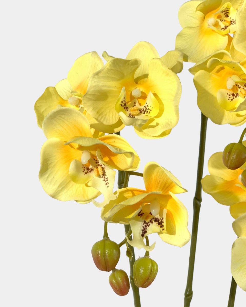 Artificial Silk Phalaenopsis in Gold Pot - yellow - Gifting plant - Tumbleweed Plants - Online Plant Delivery Singapore