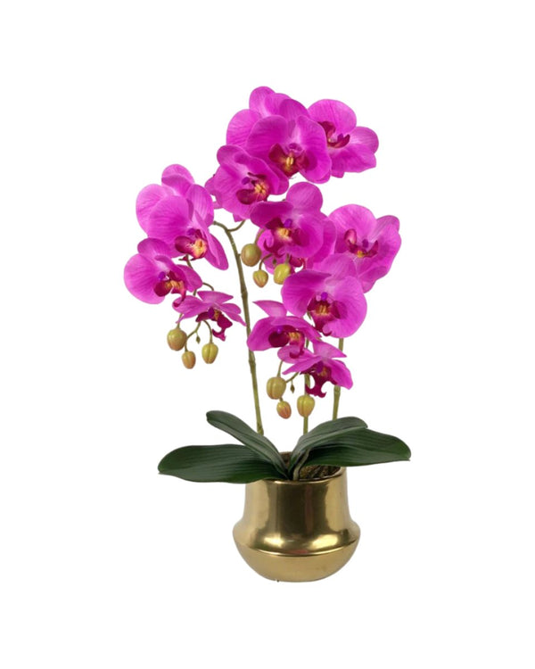 Artificial Silk Phalaenopsis in Gold Pot - yellow - Gifting plant - Tumbleweed Plants - Online Plant Delivery Singapore
