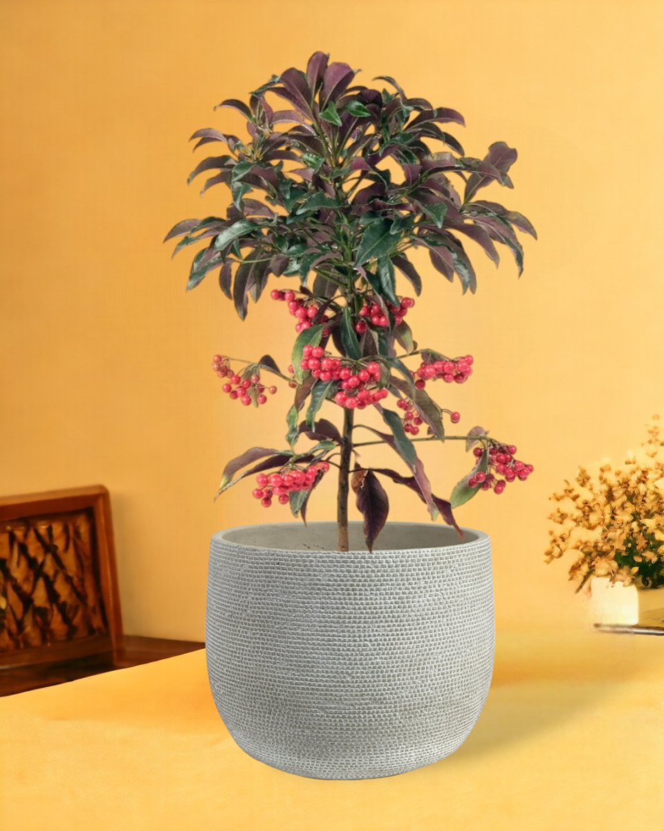 bauble planter - pearl white