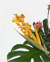 Botanical Flower Arrangement - Home Decor - Tumbleweed Plants - Online Plant Delivery Singapore