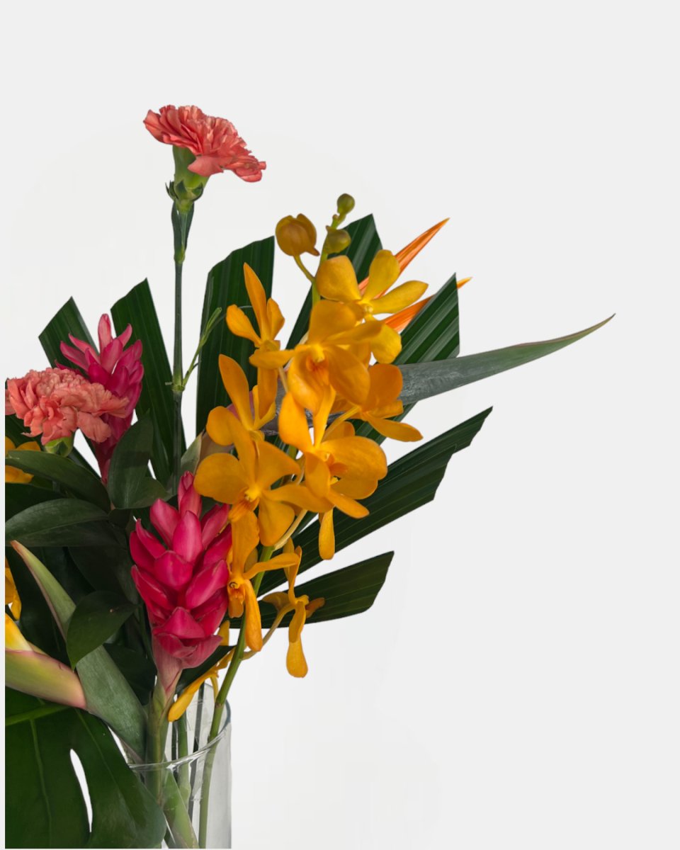 Botanical Flower Arrangement - Home Decor - Tumbleweed Plants - Online Plant Delivery Singapore