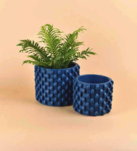 Carter Planters - small - Pot - Tumbleweed Plants - Online Plant Delivery Singapore