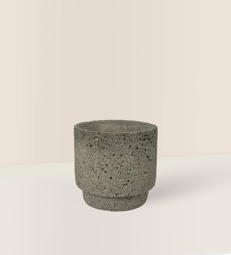 Cement Planter - Cylinder - Pot - Tumbleweed Plants - Online Plant Delivery Singapore