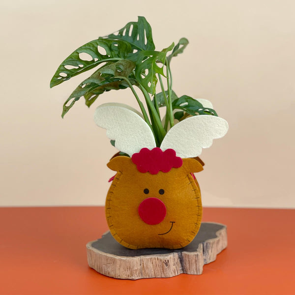 Christmas Cartoon Felt Pot - Deer - Planter - Tumbleweed Plants - Online Plant Delivery Singapore