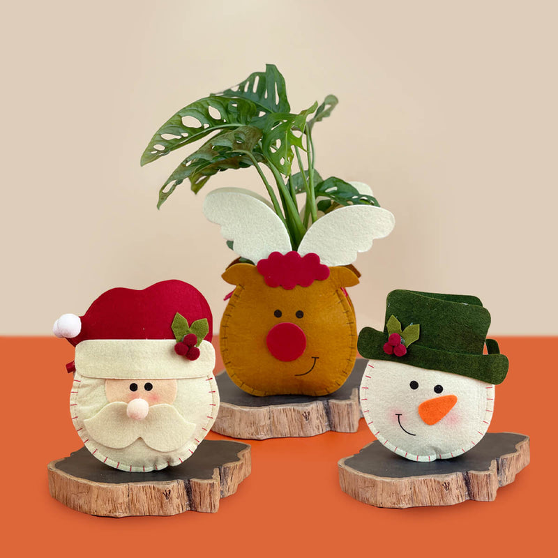 Christmas Cartoon Felt Pot - Snowman - Planter - Tumbleweed Plants - Online Plant Delivery Singapore