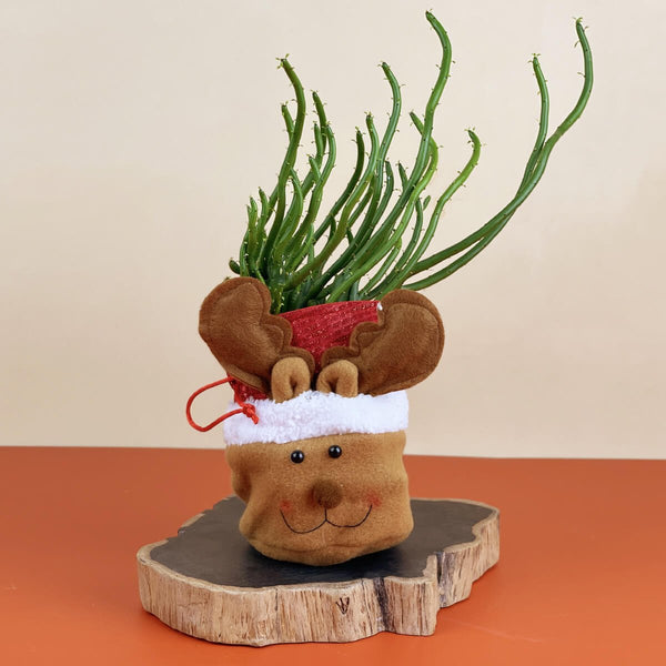 Christmas Cute Drawstring Bag - Reindeer - Planter - Tumbleweed Plants - Online Plant Delivery Singapore