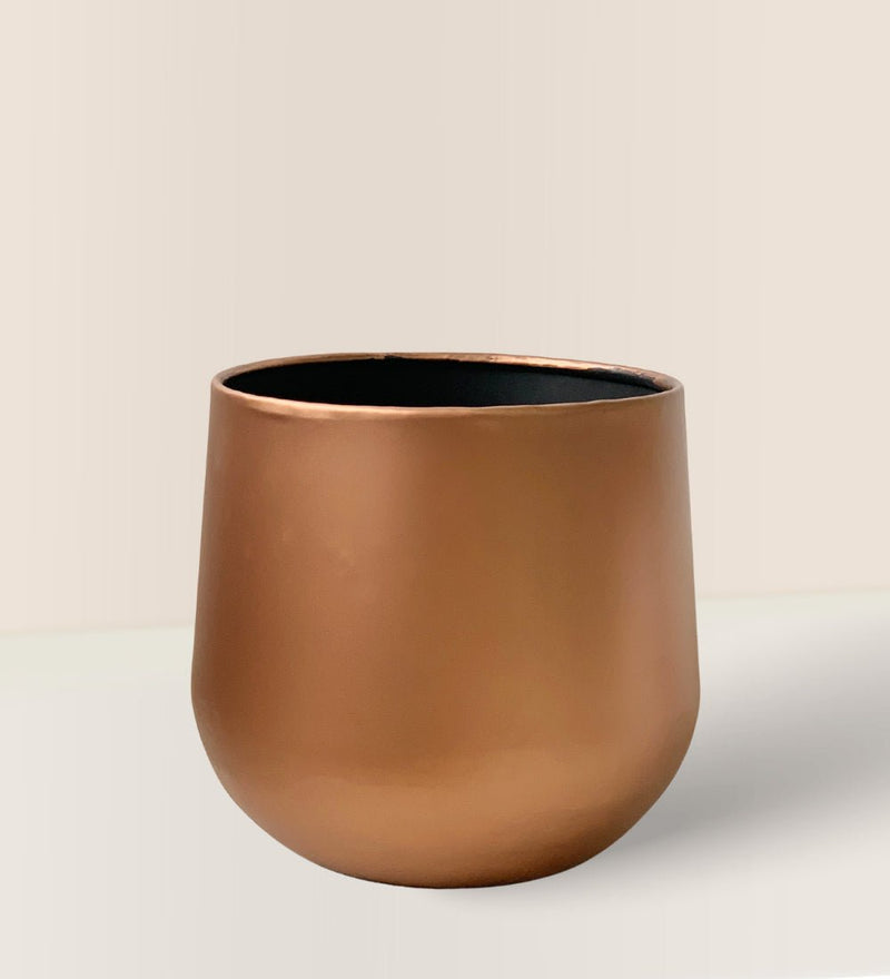 Copper Planter - standard - Planter - Tumbleweed Plants - Online Plant Delivery Singapore