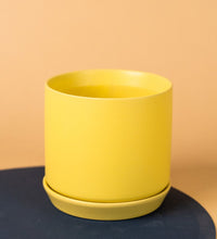 Curvy Colored Cylinder Pots - yellow - Pot - Tumbleweed Plants - Online Plant Delivery Singapore