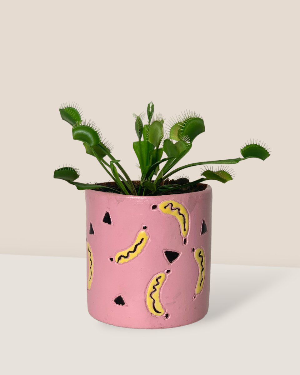 banana pots - pink