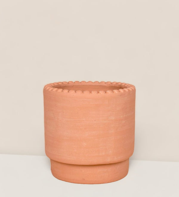 Dotted Rim Terracotta Pot - Pot - Tumbleweed Plants - Online Plant Delivery Singapore