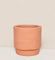 Dotted Rim Terracotta Pot