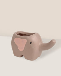 Dumbo Ceramic Pot - planter only - Pot - Tumbleweed Plants - Online Plant Delivery Singapore