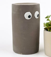 Eyes Planters - Pot - Tumbleweed Plants - Online Plant Delivery Singapore