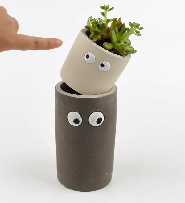 Eyes Planters - Pot - Tumbleweed Plants - Online Plant Delivery Singapore