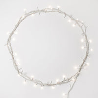 Fairy Lights - Warm - Add Ons - Tumbleweed Plants - Online Plant Delivery Singapore