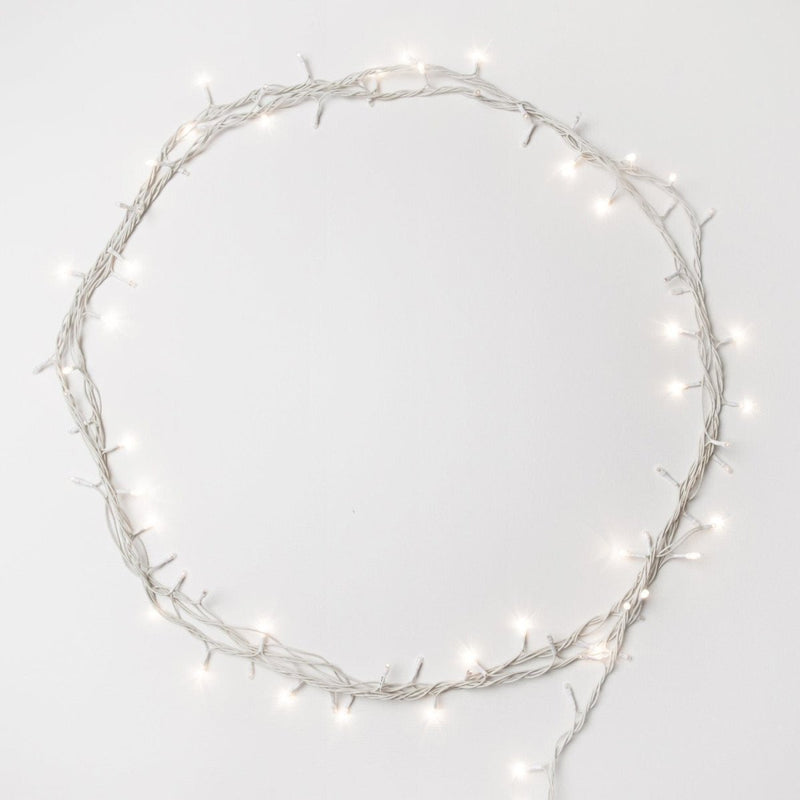 Fairy Lights - Warm - Add Ons - Tumbleweed Plants - Online Plant Delivery Singapore