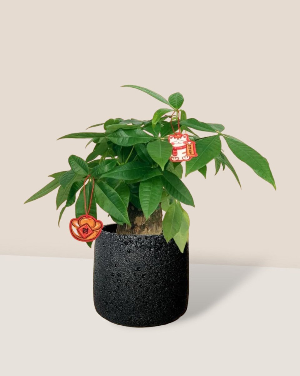 coarse cylinder planter - black