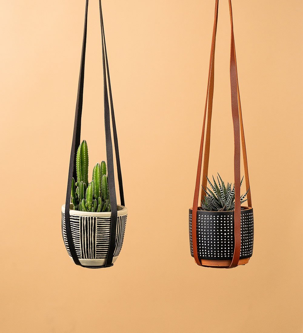 Faux Leather Plant Hangers - black - Hanging - Tumbleweed Plants - Online Plant Delivery Singapore