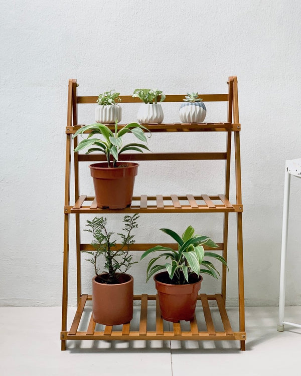 Foldable Plant Rack - standard - Home Decor - Tumbleweed Plants - Online Plant Delivery Singapore