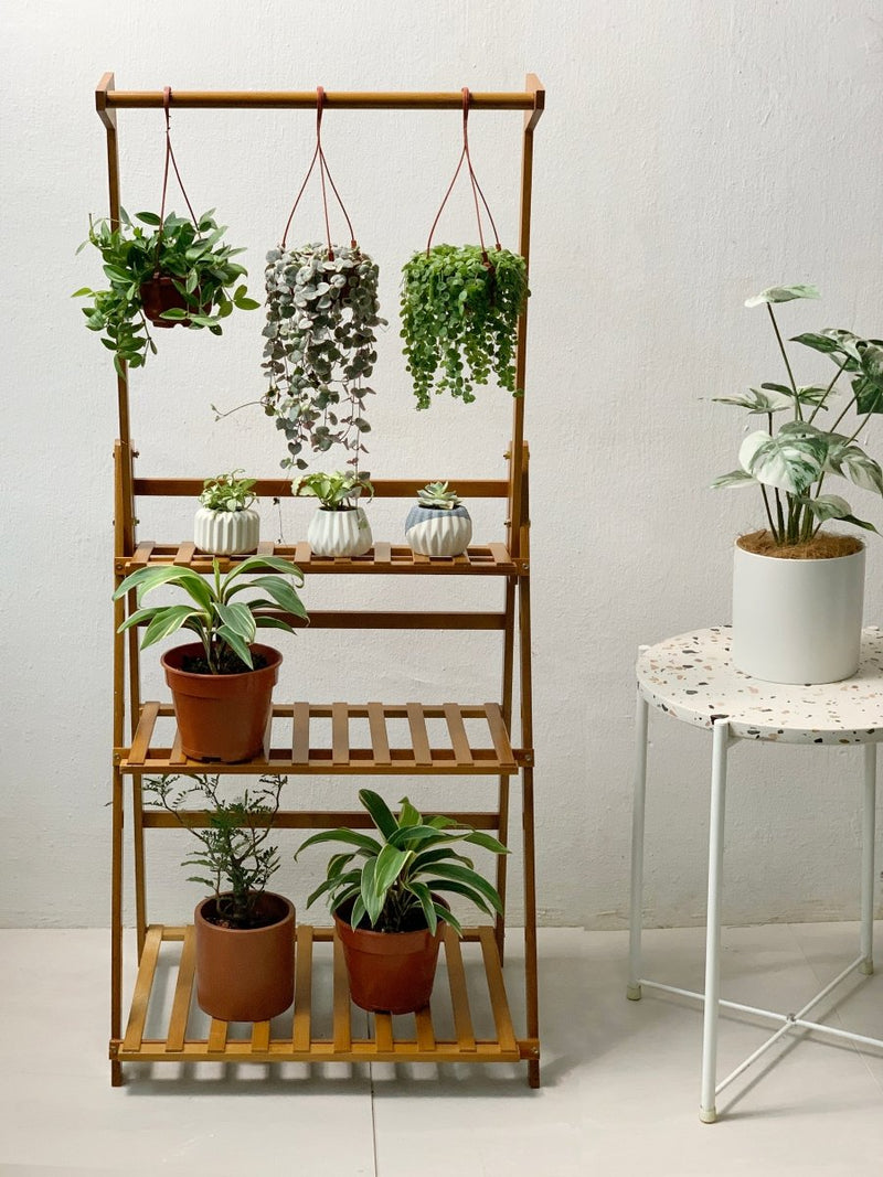 Foldable Plant Rack - standard - Home Decor - Tumbleweed Plants - Online Plant Delivery Singapore