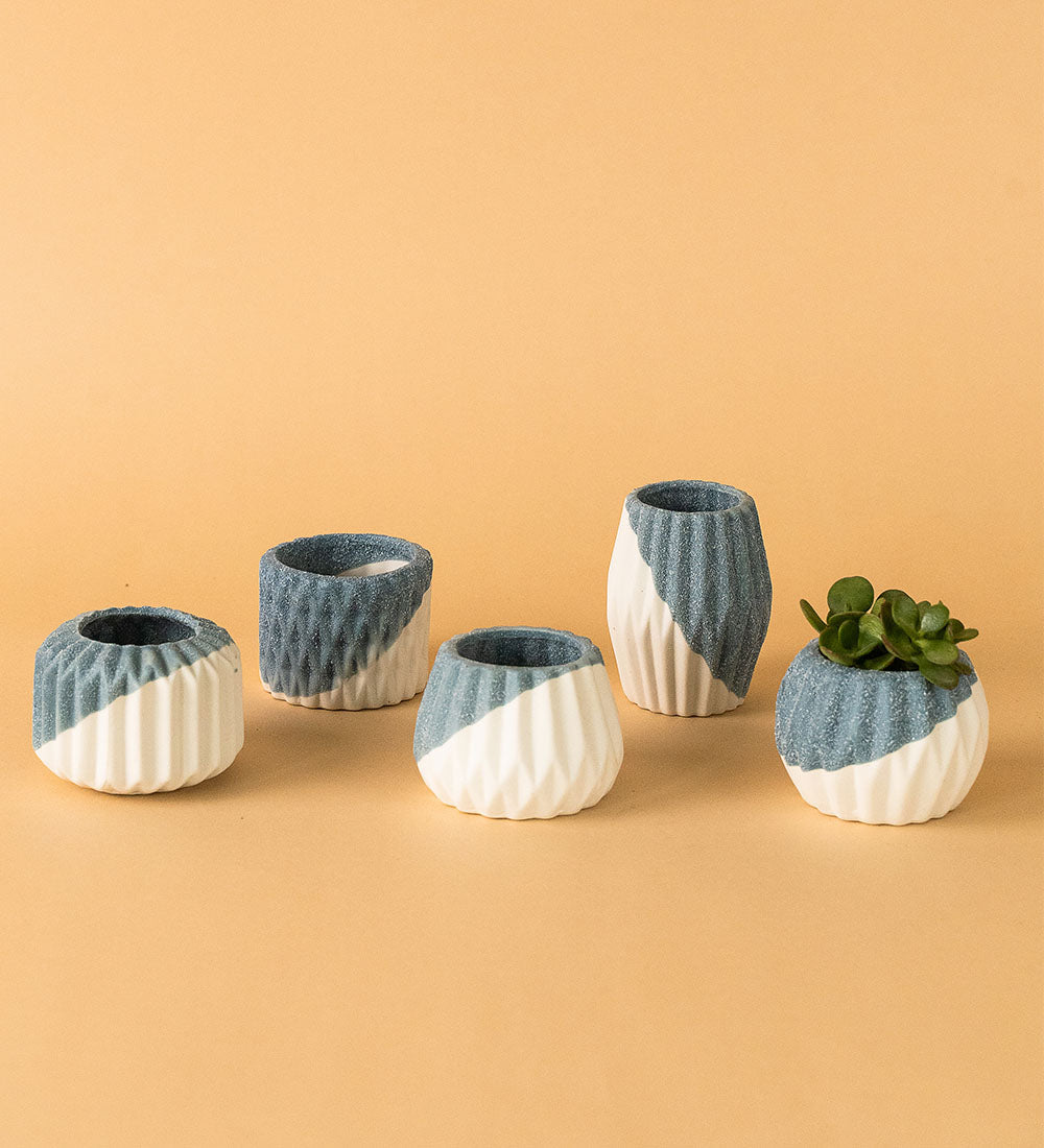 Geometric Mini Pots Grey and White - A - Pot - Tumbleweed Plants - Online Plant Delivery Singapore