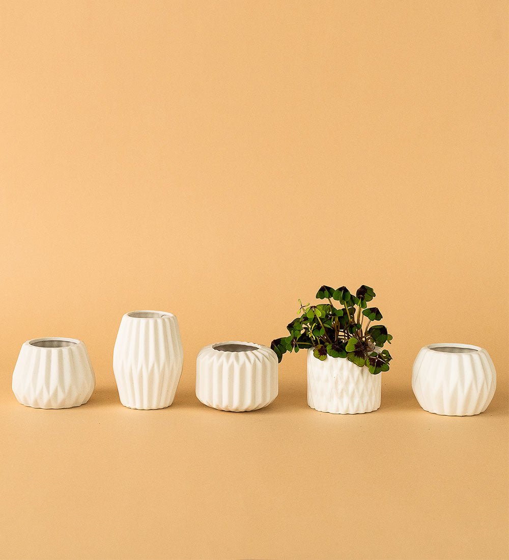Geometric Mini Pots White - A - Pot - Tumbleweed Plants - Online Plant Delivery Singapore