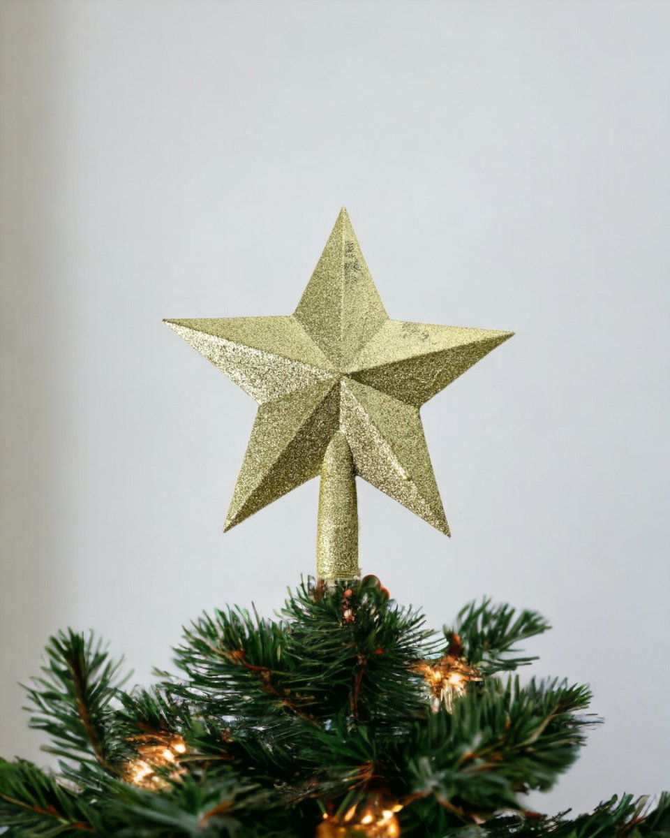 Glitter Star Christmas Tree Topper - large - Add Ons - Tumbleweed Plants - Online Plant Delivery Singapore