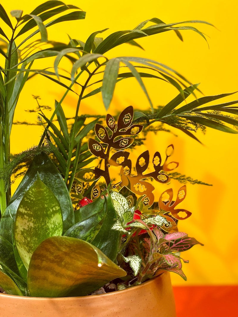 Golden Prosperity Tree Deco - Add Ons - Tumbleweed Plants - Online Plant Delivery Singapore