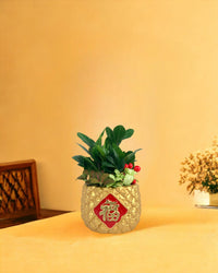 Good Wealth Zamio in Golden Pineapple Pot - Potted plant - Tumbleweed Plants - Online Plant Delivery Singapore