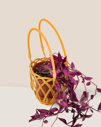 Hanging Basket - Basket - Tumbleweed Plants - Online Plant Delivery Singapore