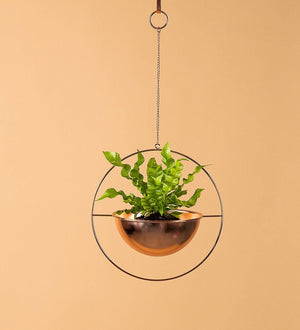 Hanging Globe