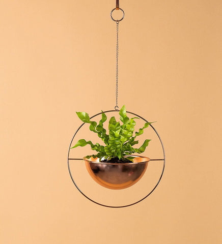 Hanging Globe