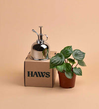 Haws Misters - nickel - Mister - Tumbleweed Plants - Online Plant Delivery Singapore