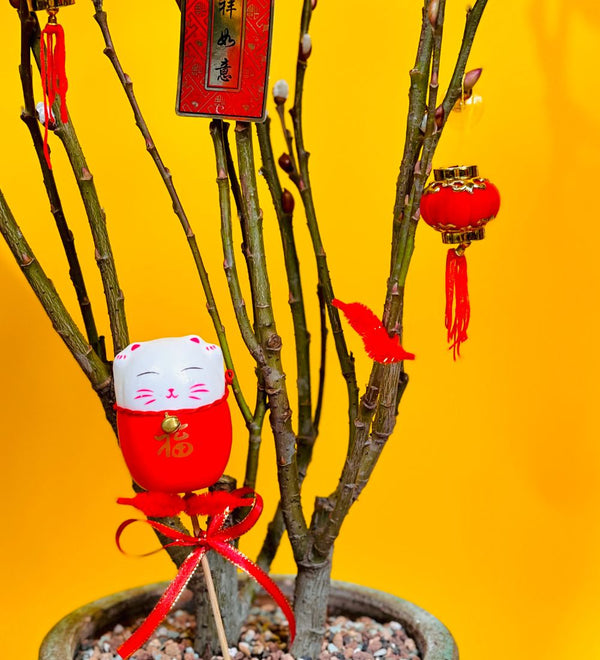 Hock Kee Maneki-neko Deco - red - Add Ons - Tumbleweed Plants - Online Plant Delivery Singapore