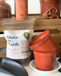 Home Garden Starter Kit - basic - Grow Kit - Tumbleweed Plants - Online Plant Delivery Singapore