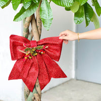 Jumbo Jolly Red Bow - Add Ons - Tumbleweed Plants - Online Plant Delivery Singapore