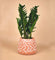 Matchstick Planter - Medium