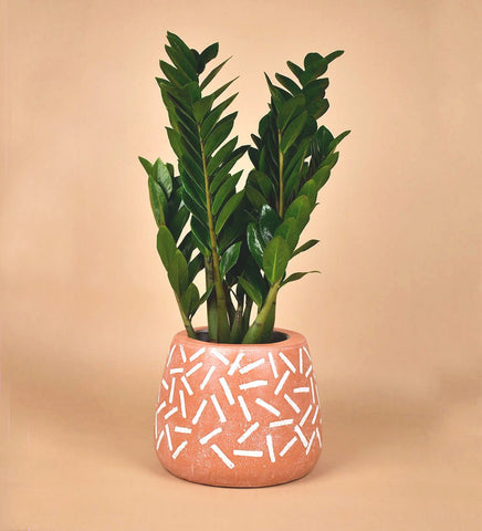 Matchstick Planter - Medium - Default Title