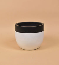 Large Resin Planters - white/black - Pot - Tumbleweed Plants - Online Plant Delivery Singapore