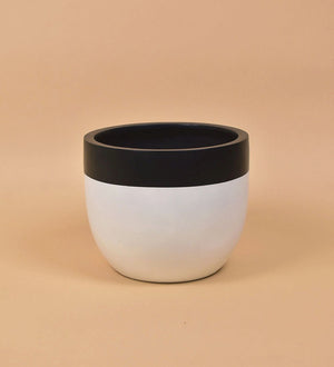 Large Resin Planters - white/black - Pot - Tumbleweed Plants - Online Plant Delivery Singapore