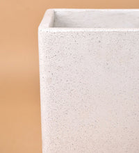 Large Terrazzo Cube - Pot - Tumbleweed Plants - Online Plant Delivery Singapore
