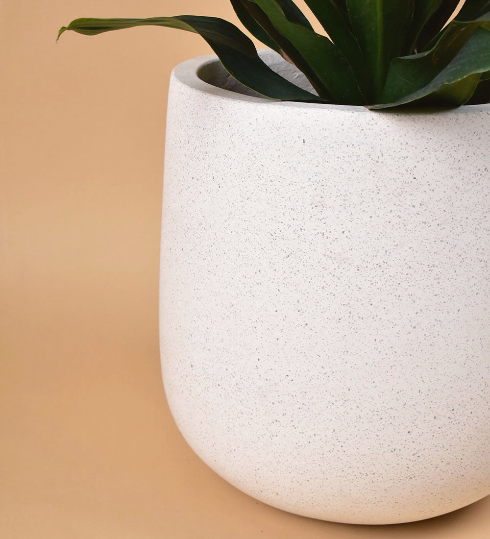 Large White Terrazzo Planters - small - Pot - Tumbleweed Plants - Online Plant Delivery Singapore