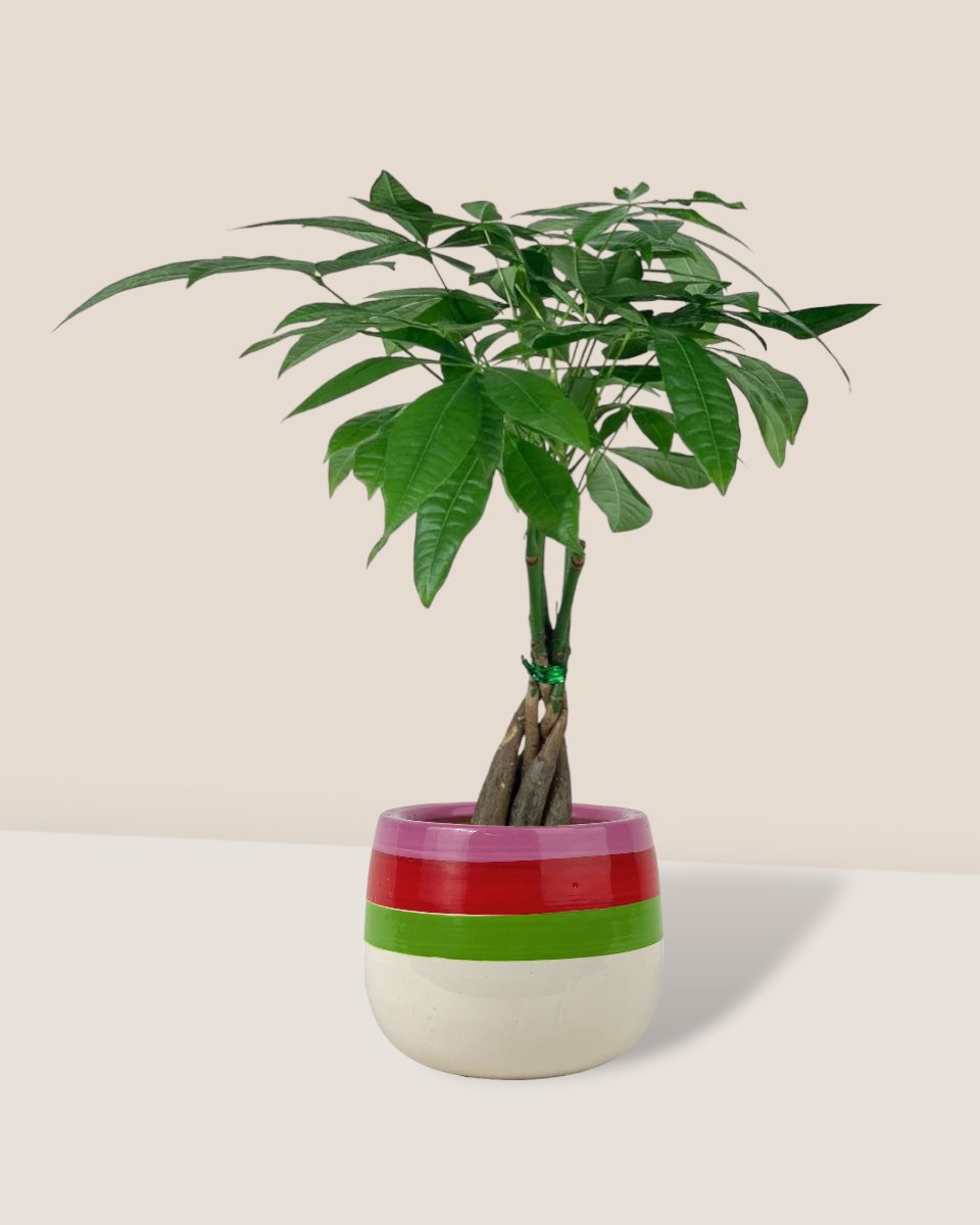 poppy planter - buzz lightyear