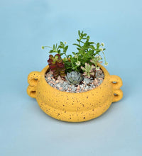 Looper Bowl Planter