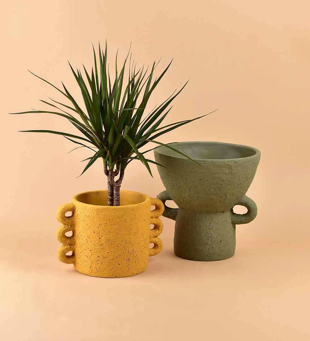 Looper Planters - yellow - Pot - Tumbleweed Plants - Online Plant Delivery Singapore