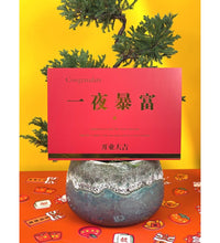 Congratulatory / Grand Opening Greeting Card - Congratulation on your fortune (red) - Add Ons - Tumbleweed Plants - Online Plant Delivery Singapore