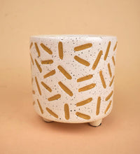Matchstick Planter - Pot - Tumbleweed Plants - Online Plant Delivery Singapore